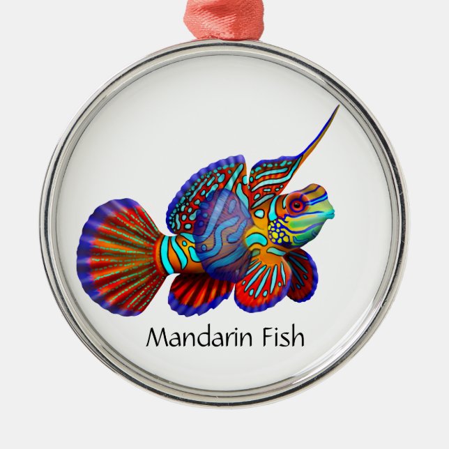 Mandarin Goby Dragonet Fish Ornament (Vorne)
