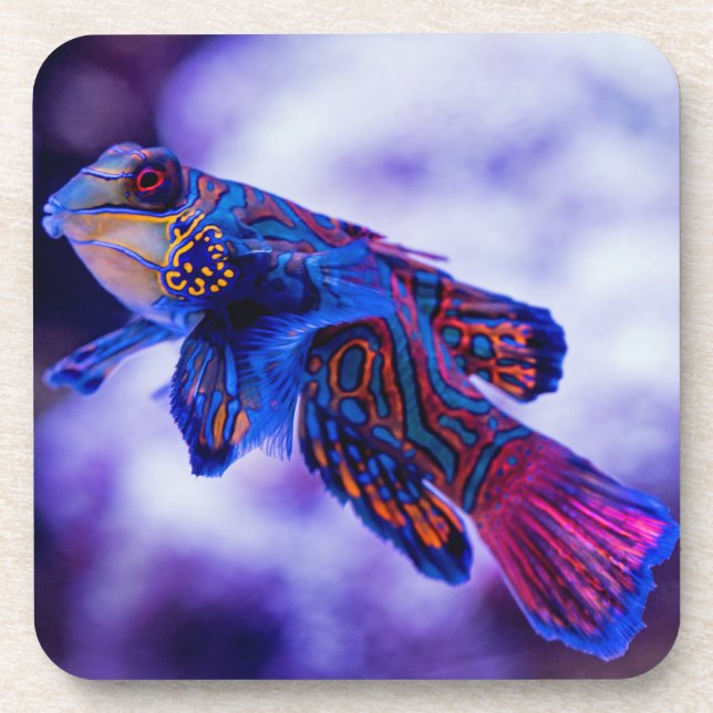 Mandarin Goby Fish Beverage Coaster Getränkeuntersetzer (Vorderseite)