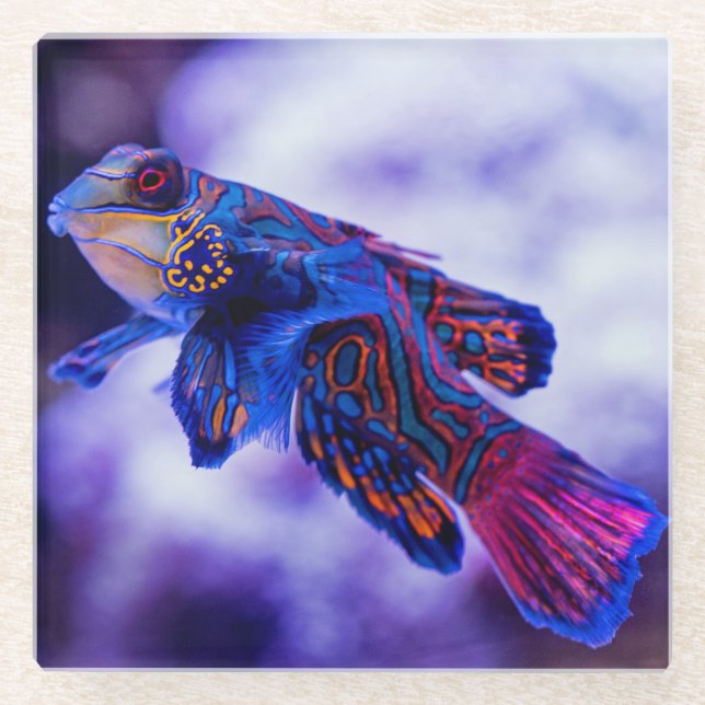 Mandarin Goby Fish Glasuntersetzer (Vorderseite)