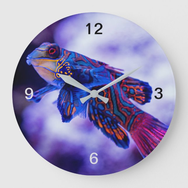 Mandarin Goby Fish Große Wanduhr (Vorderseite)