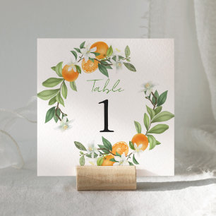 Mandarin Orange Watercolor Mariage Numéro de table