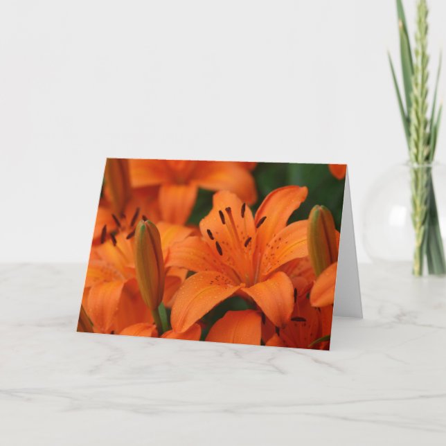"Mandarine Beauty"-Karte Karte (Vorderseite)
