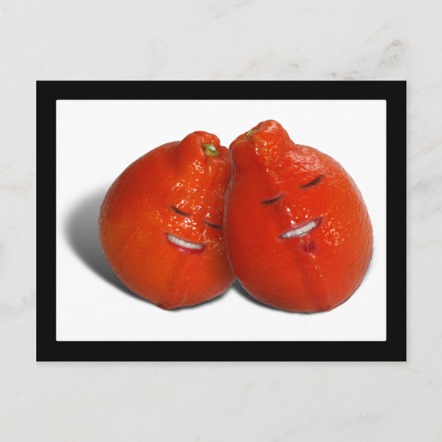 Mandarine Couple (Orange Sie auch in Liebe?) Postkarte (Vorderseite)