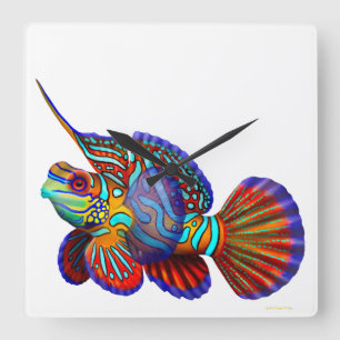 Mandarine Dragonet Goby-Fisch-Wanduhr Quadratische Wanduhr
