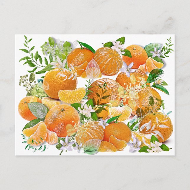Mandarine Dreams Postkarte (Vorderseite)