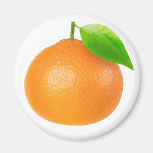 Mandarine Magnet