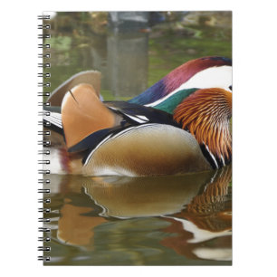 Mandarinenente Notizblock