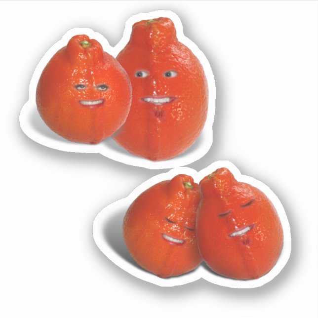 Mandarinenliebe Aufkleber (Vorderseite)