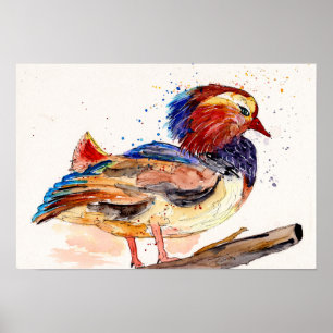 Mandarinente Aquarell Poster
