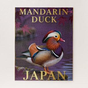 🦆 Mandarinente Japan Exotischer Vogel