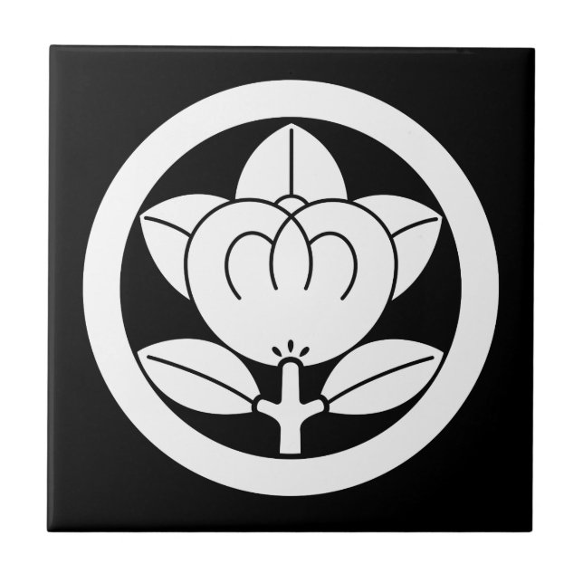 Mandarinorange in kreisförmigen Keramiken Fliese (Vorderseite)