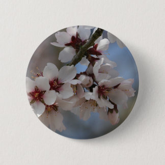 Mandel-Blüte Button