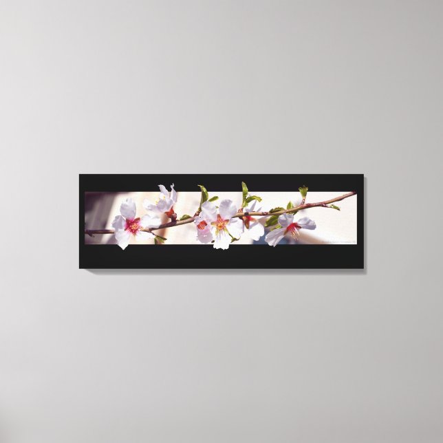 Mandelbaum Blume Blüte gewickelt Leinwand (Vorderseite)