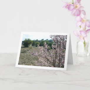 Mandelbaum mit Blüten Karte