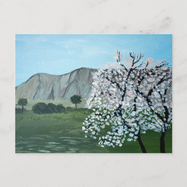 Mandelbäume in Blüte | Italien, Sizilien | Berg Postkarte (Vorderseite)