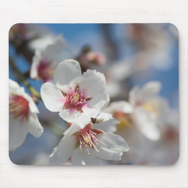 Mandelblüte Mousepad (Vorne)