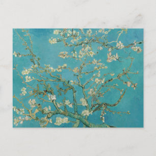 Mandelblüte, Ölmalerei, Vincent Van Gogh Postkarte