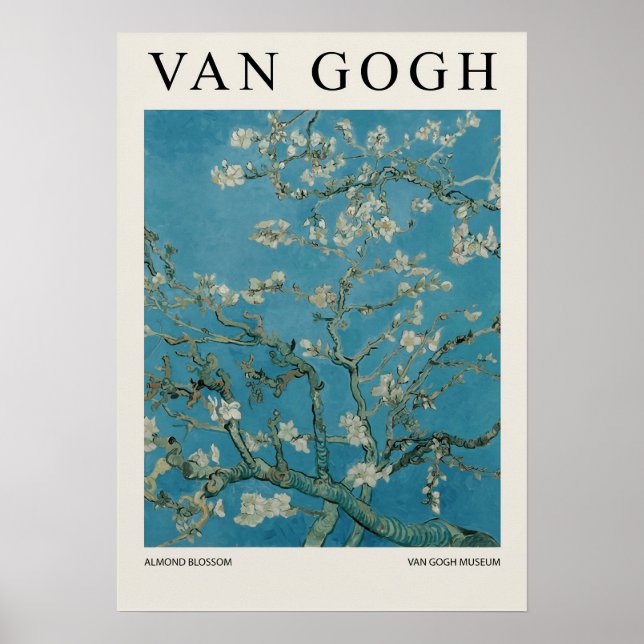 Mandelblüte Poster (Vorne)