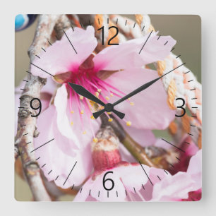 Mandelblüte Quadratische Wanduhr