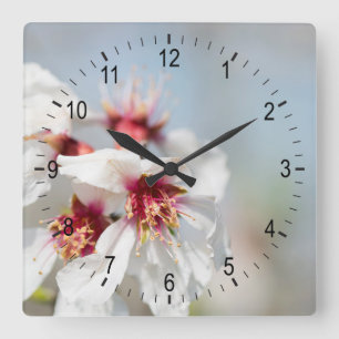 Mandelblüte Quadratische Wanduhr