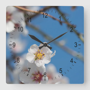 Mandelblüte Quadratische Wanduhr