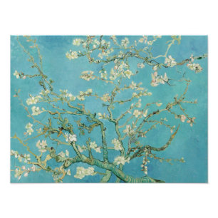 Mandelnblüten von Vincent Van Gogh Fine Art Fotodruck