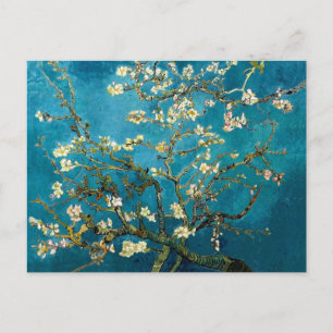 Mandelzweige in Blüte Postkarte