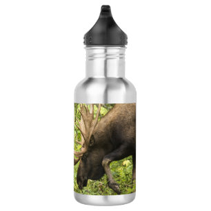 Mandering Moose Edelstahlflasche