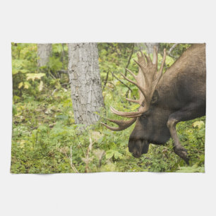 Mandering Moose Küchentuch