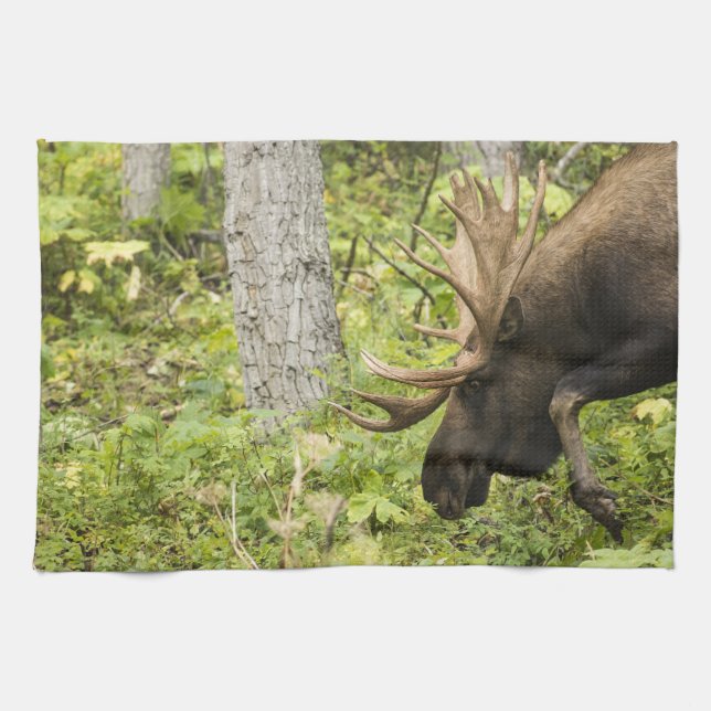 Mandering Moose Küchentuch (Horizontal)
