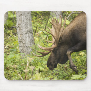 Mandering Moose Mousepad