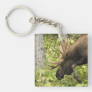 Mandering Moose Schlüsselanhänger