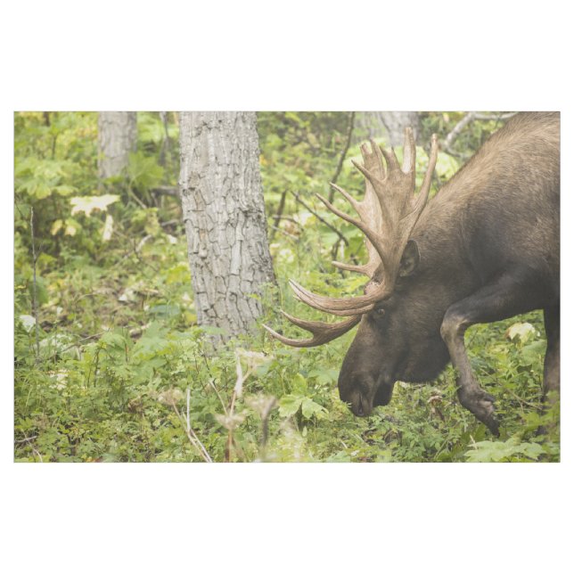 Mandering Moose Stoff (Yard (91,4 cm))