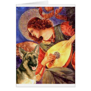 Mandolin Angel - Berger allemand 2