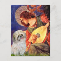 Mandolin Angel - Shih Tzu (P)