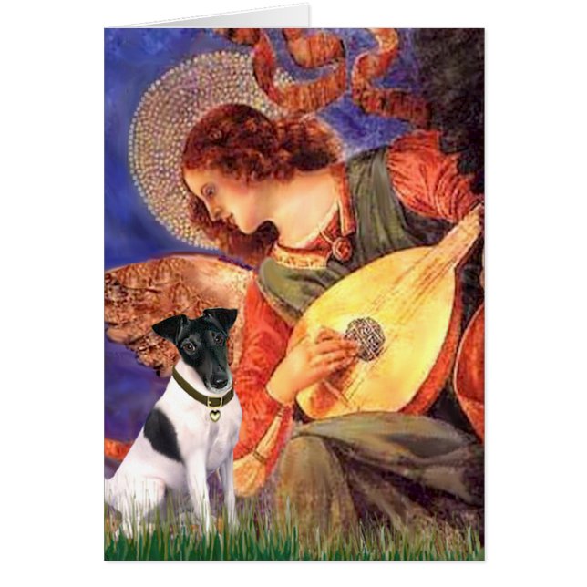 Mandolin Angel - Smooth Fox Terirer (Vorne)