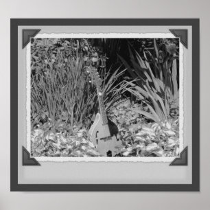 Mandolin Iris Garden Black and White Snapshot Poster