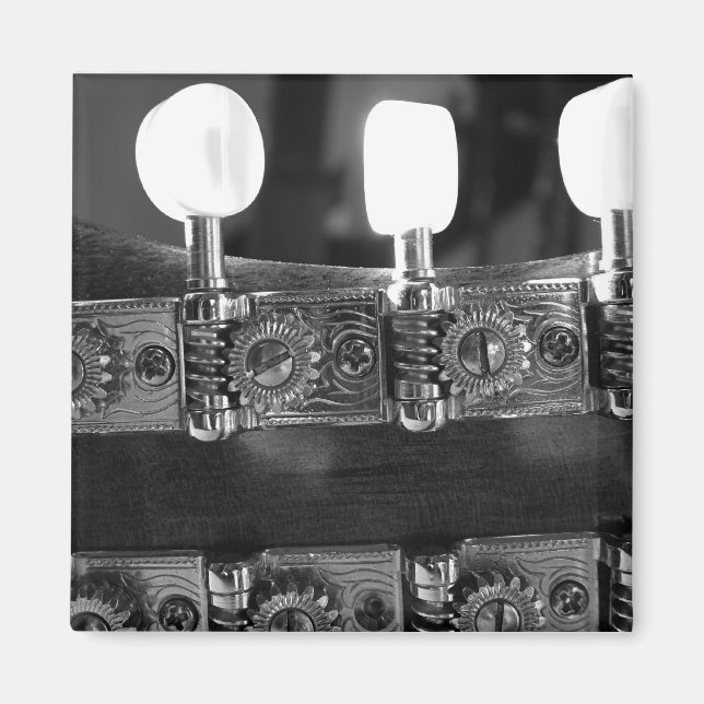 Mandolin Tuning Pegs Magnet (Vorne)