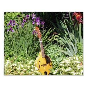 Mandolin und Iris Garden 10x8 Blume Fotodruck