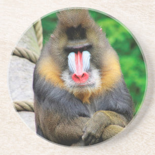 Mandrill 001 getränkeuntersetzer