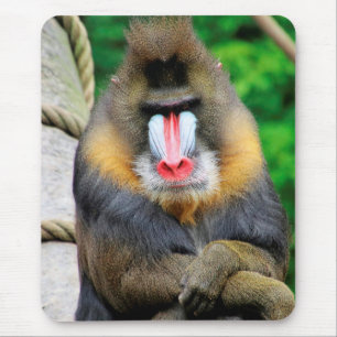 Mandrill 001 mousepad