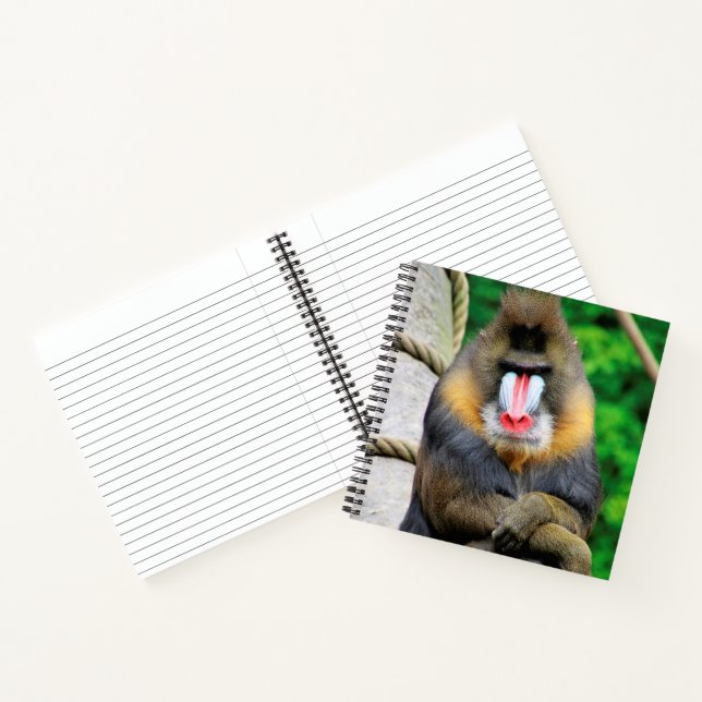 Mandrill 001 notizbuch (Innenseite)