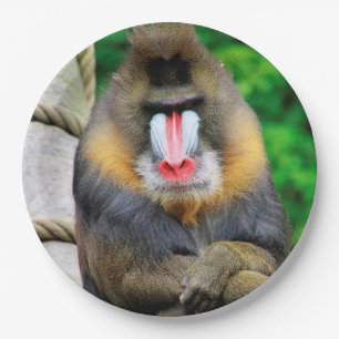 Mandrill 001 pappteller