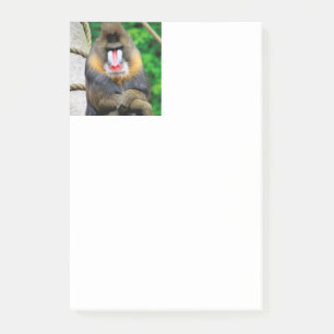 Mandrill 001 post-it klebezettel