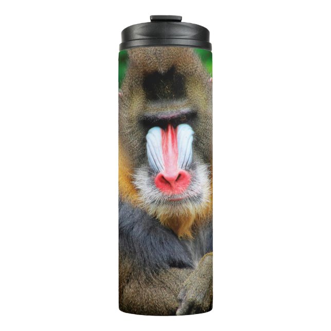 Mandrill 001 thermosbecher (Vorderseite)
