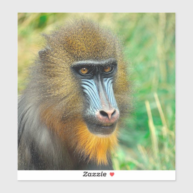 Mandrill 002 aufkleber (Blatt)