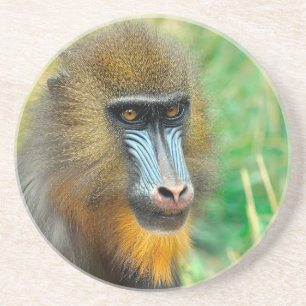 Mandrill 002 getränkeuntersetzer