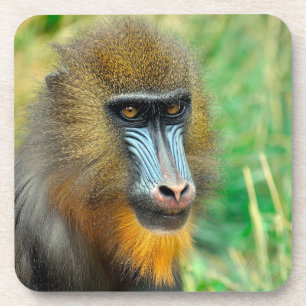 Mandrill 002 getränkeuntersetzer
