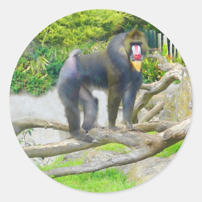 Mandrill #7 Stickers (Vorderseite)