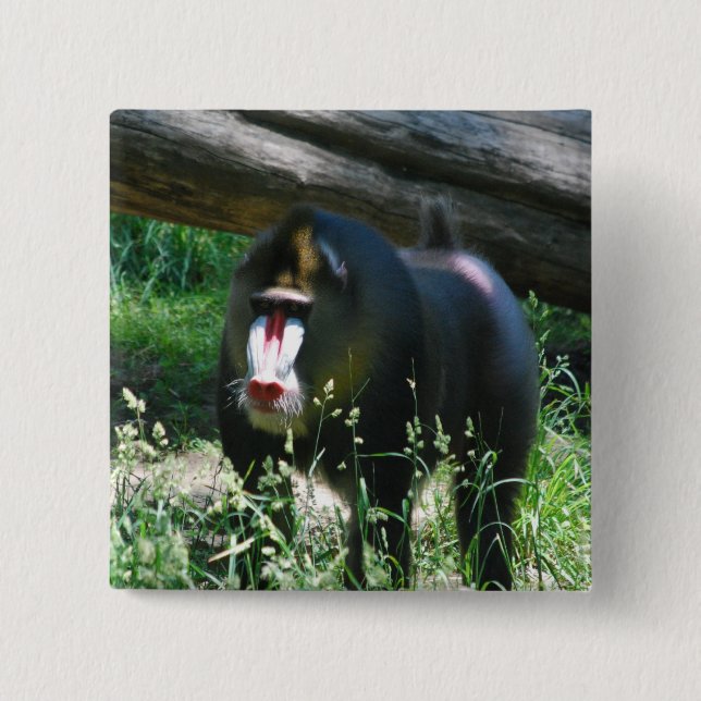 Mandrill Button (Vorderseite)